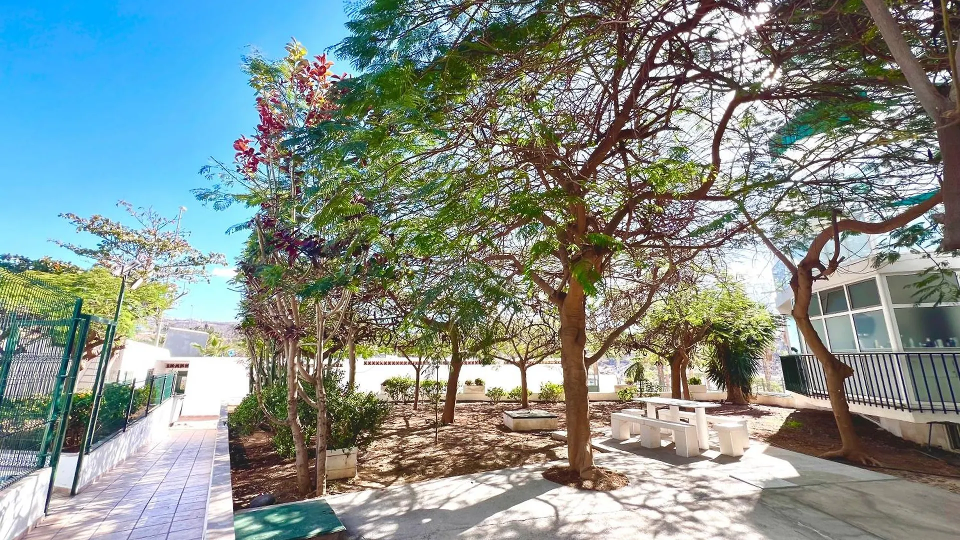 Lägenhet 1 Bedroom Apart In Las Americas! Playa de las Americas  Spanien